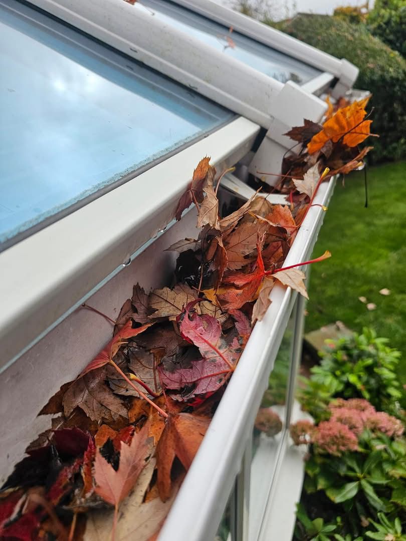 Gutter blocked with autumn leaves - why regular gutter cleaning matters in South Manchester